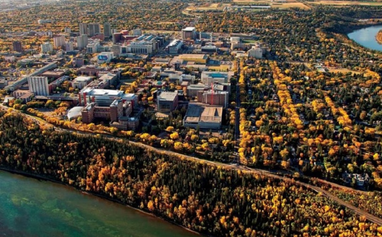 birds eye view of city